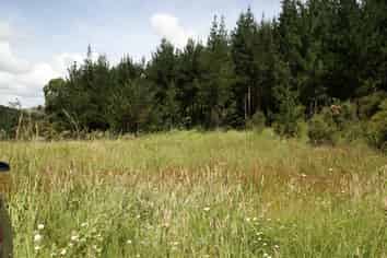  Puhata Road, Herekino