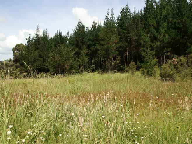  Puhata Road, Herekino