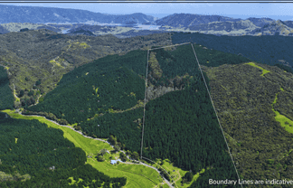  Puhata Road, Herekino