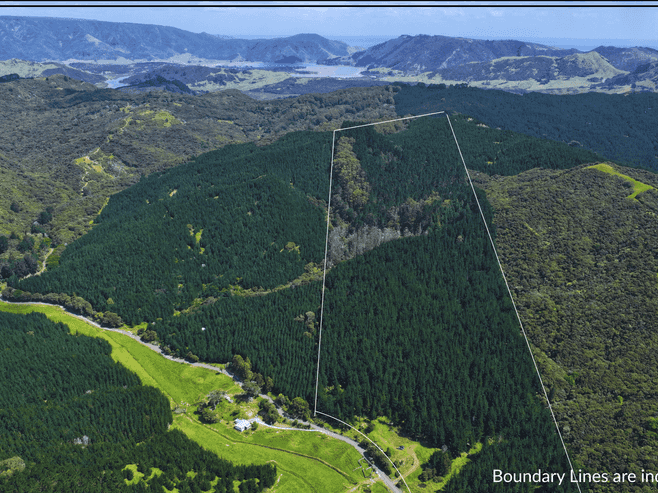  Puhata Road, Herekino