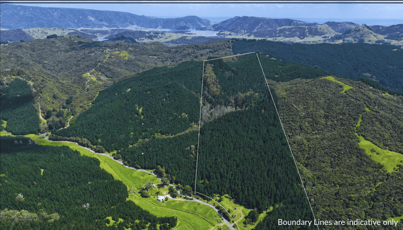  Puhata Road, Herekino