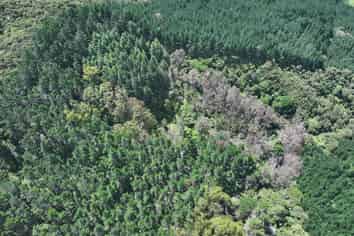  Puhata Road, Herekino