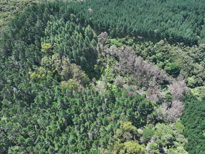  Puhata Road, Herekino