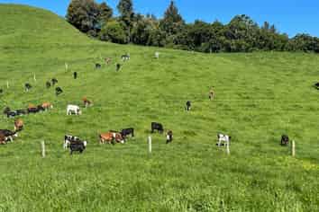 104 Tapuae Road, Otorohanga