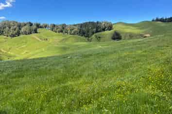 104 Tapuae Road, Otorohanga