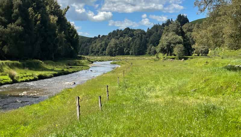 104 Tapuae Road, Otorohanga