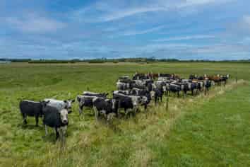 29 Gilchrist Road, Otaua