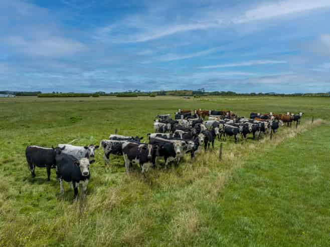 29 Gilchrist Road, Otaua