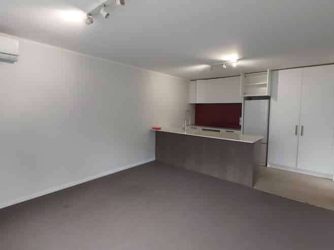 1/3 Bedford Street, Parnell
