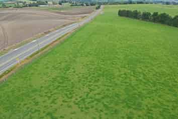 790 Alma-Maheno Road, Reidston