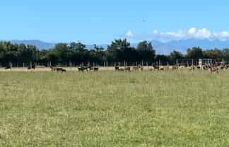 1371 Rangitikei Line, Newbury