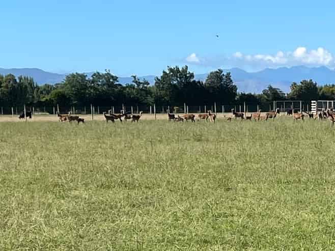 1371 Rangitikei Line, Newbury