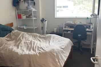 15 Holland Street, Te Aro