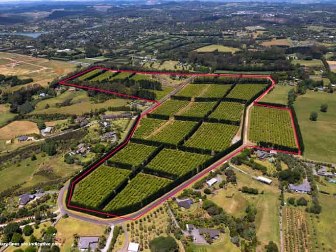 409 Kapiro Road, Kerikeri