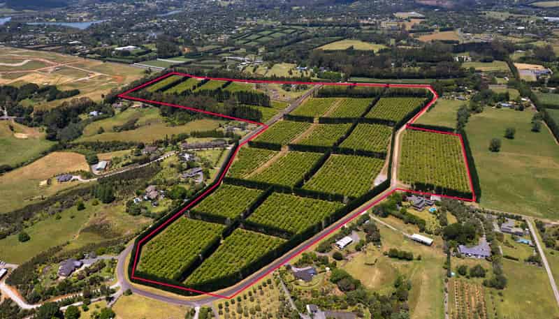 409 Kapiro Road, Kerikeri