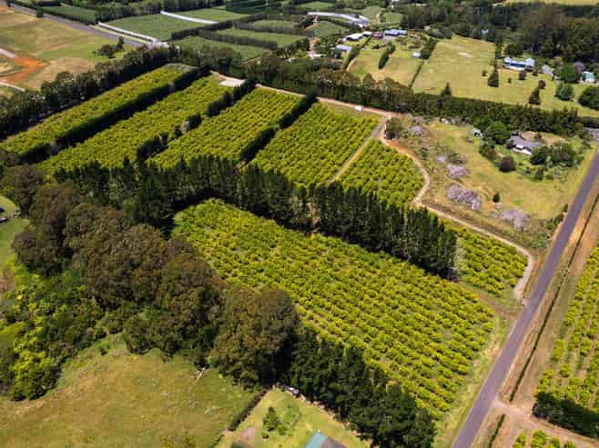 409 Kapiro Road, Kerikeri