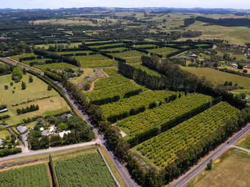 409 Kapiro Road, Kerikeri