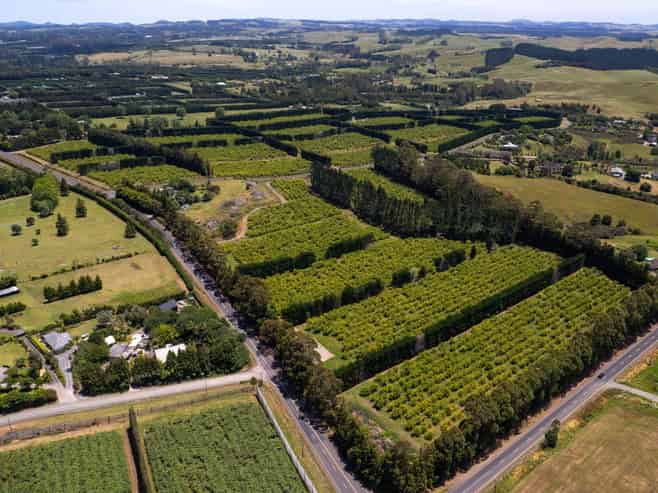 409 Kapiro Road, Kerikeri