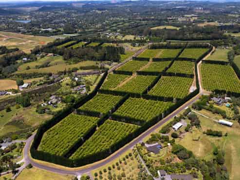 409 Kapiro Road, Kerikeri