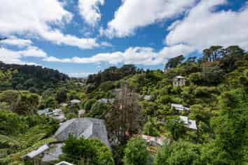 11 Mt Pleasant Road, Aro Valley