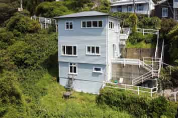 11 Mt Pleasant Road, Aro Valley