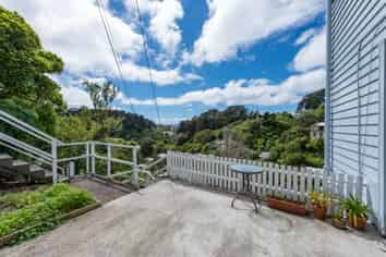 11 Mt Pleasant Road, Aro Valley