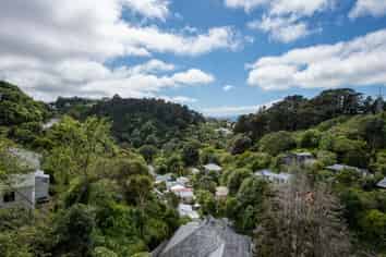 11 Mt Pleasant Road, Aro Valley