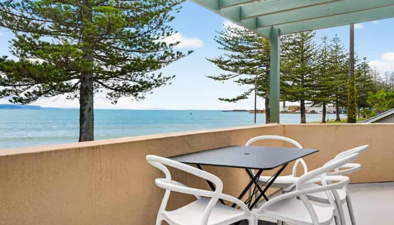 40 Hardinge Road, Ahuriri