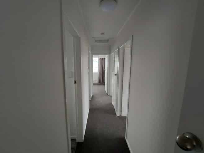 20 Mooney Street, Nawton