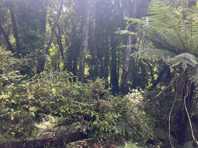 8 Aorangi Drive, Greymouth