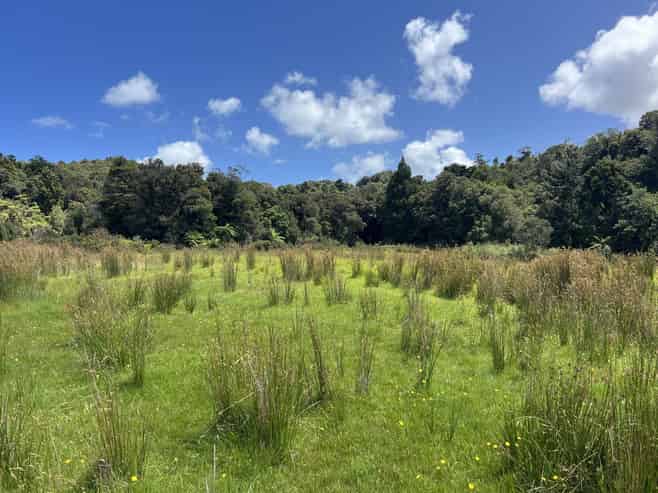 8 Aorangi Drive, Greymouth