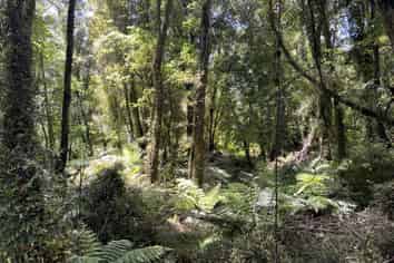 8 Aorangi Drive, Greymouth