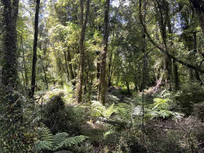 8 Aorangi Drive, Greymouth