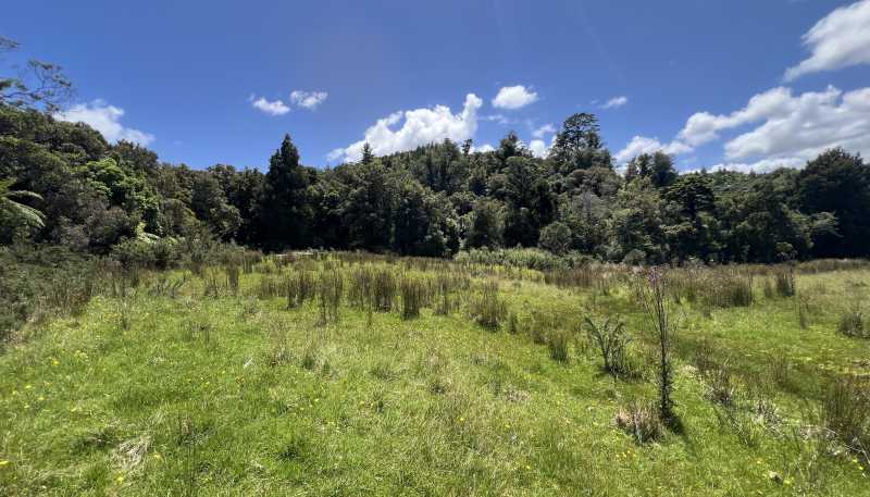 8 Aorangi Drive, Greymouth
