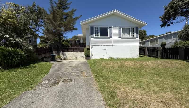 117 Conclusion Street, Ascot Park