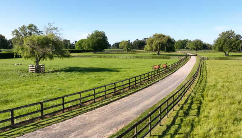 136 Wells Road, Okoroire