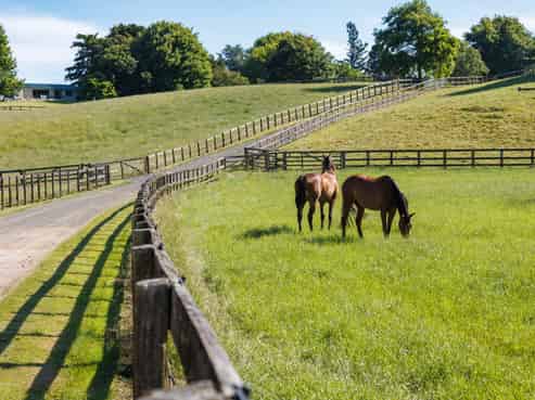 136 Wells Road, Okoroire