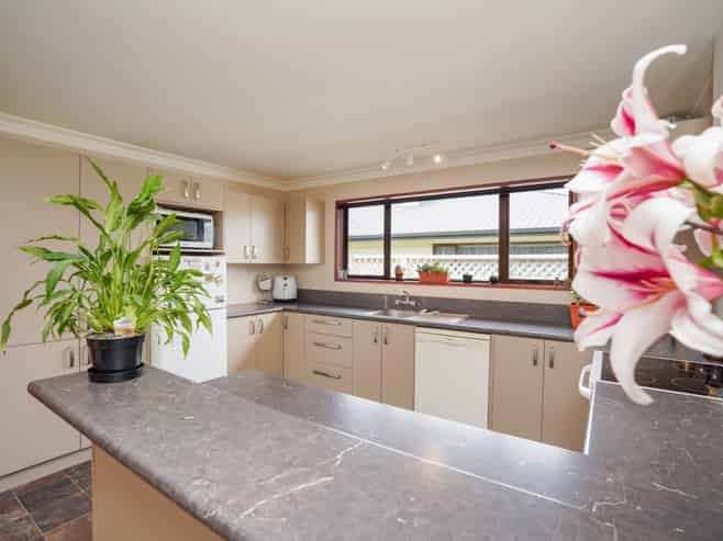 22 Craig Street, Waikiwi