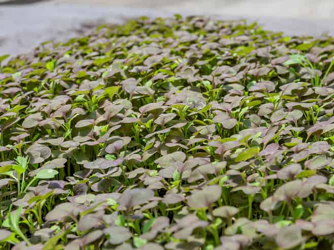 410A Whatitiri Road, Poroti