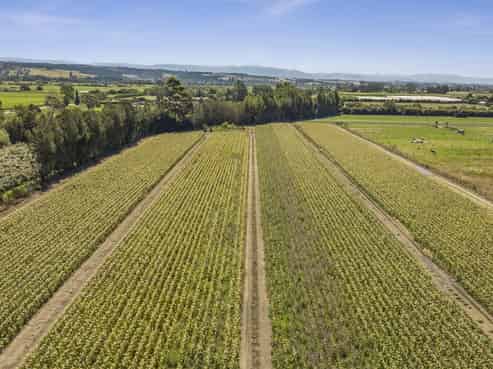 444 Paton Road, Hope