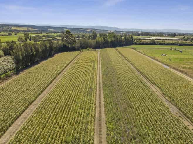 444 Paton Road, Hope