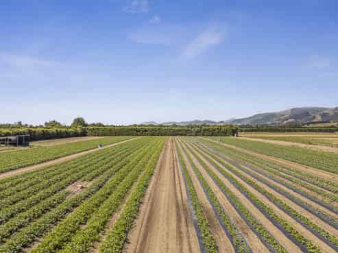 444 Paton Road, Hope