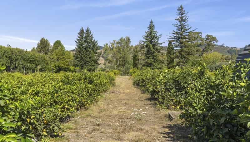 444 Paton Road, Hope