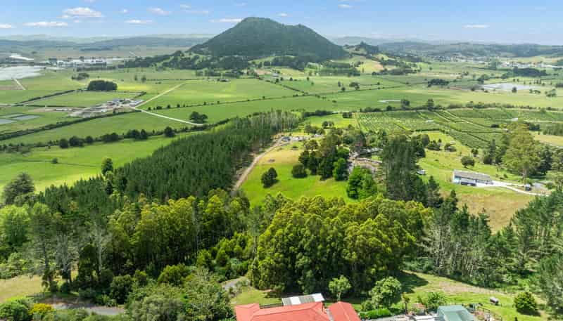 448 Apotu Road, Kauri