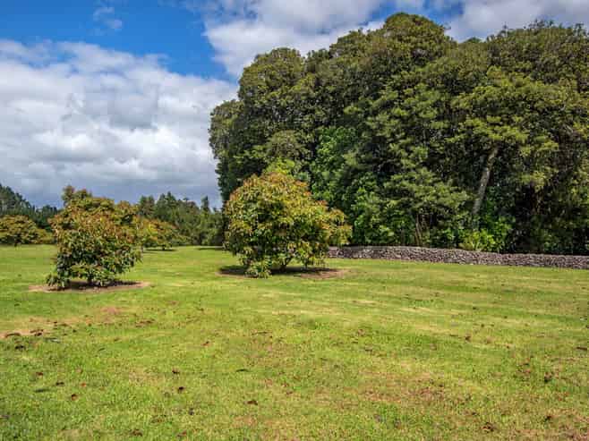 115A&B Kara Road, Maungatapere