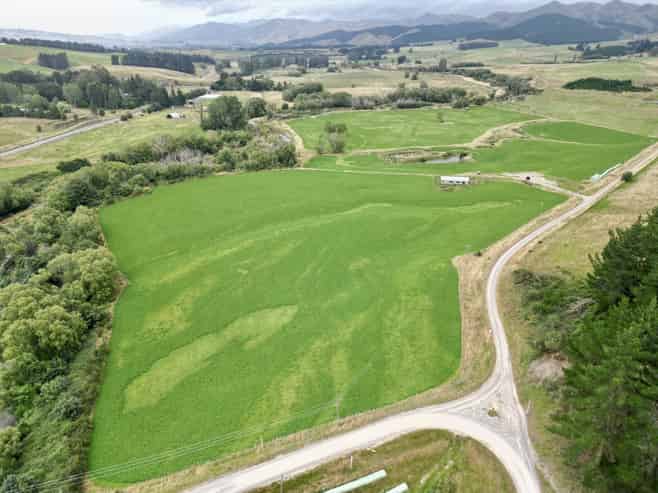 19 Shaw Road, Glenpark