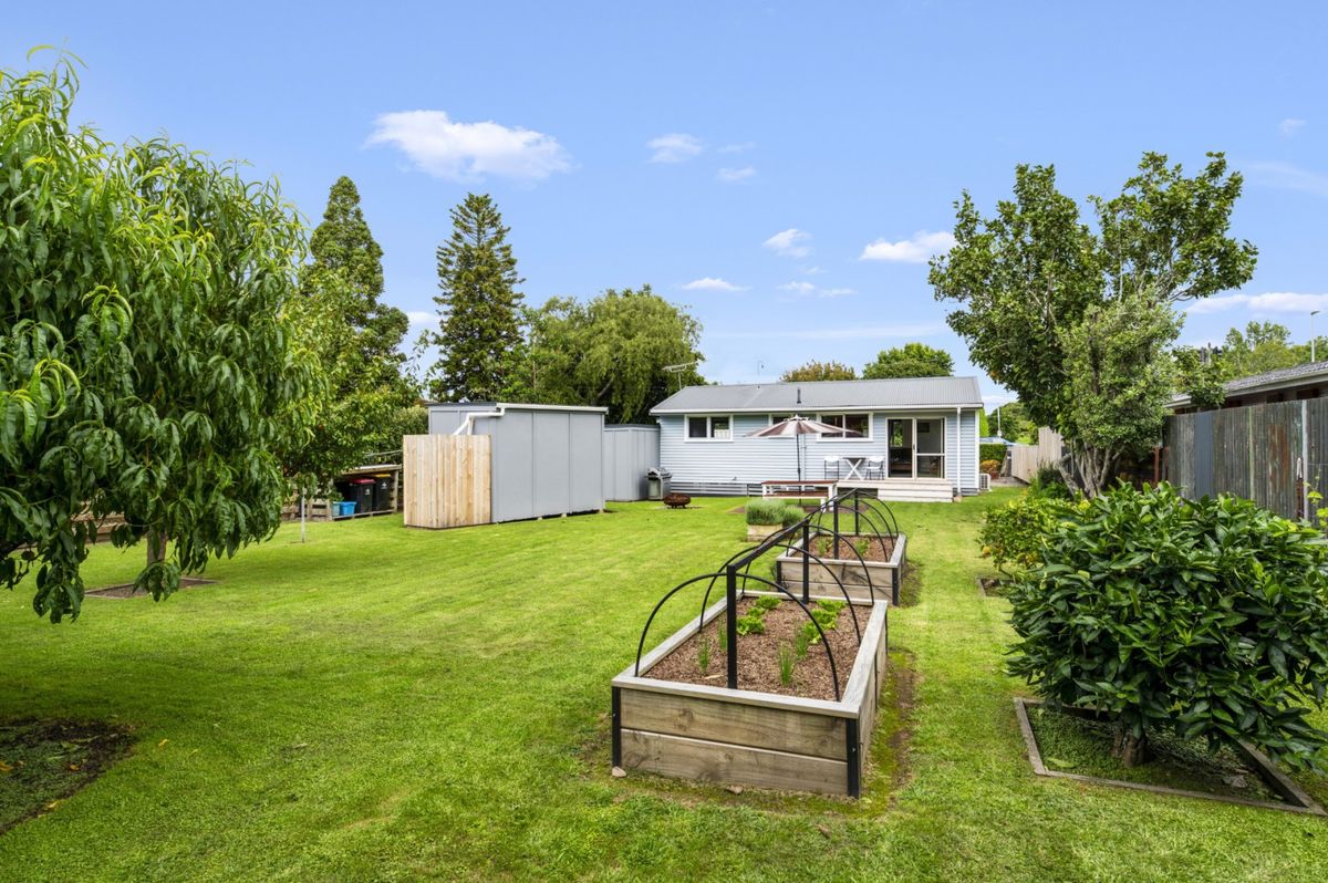 Loaded With Options - Genuine Potential, Bethlehem
