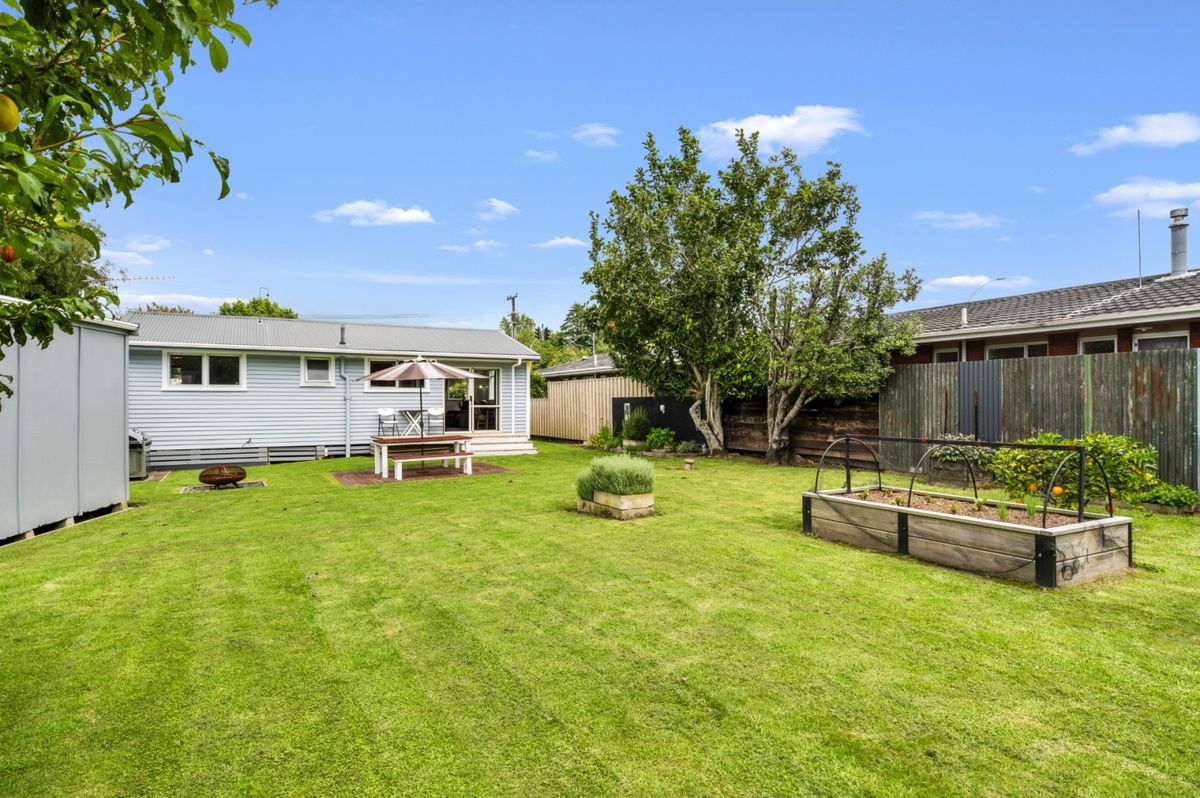 Loaded With Options - Genuine Potential - Ansicht 3