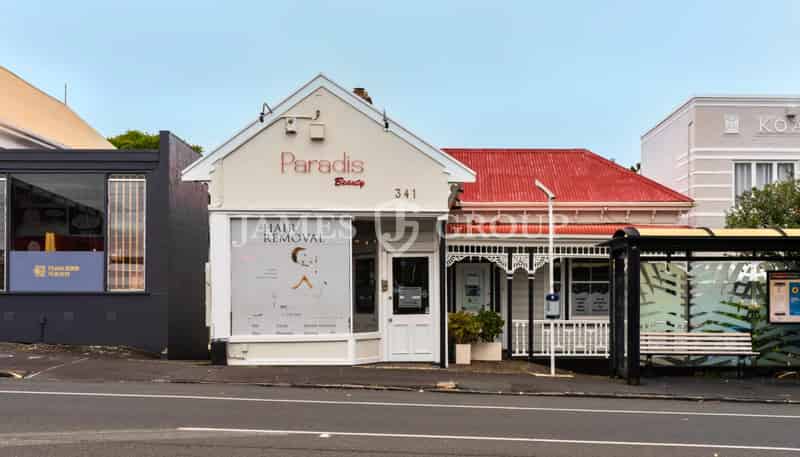 341 Dominion Road, Mount Eden