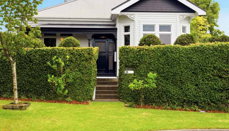 38 Stephens Place, Hairini